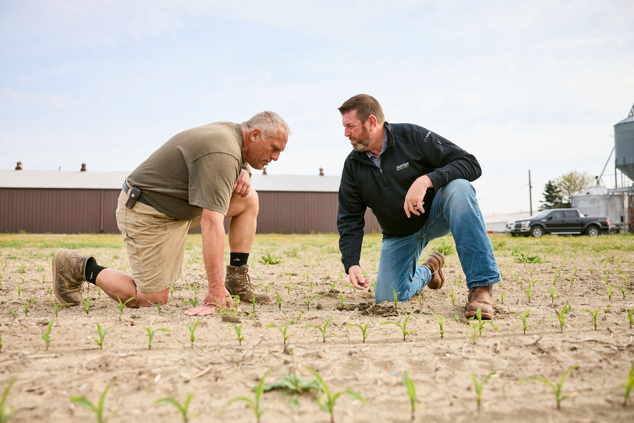 Farmers discussing product with crop consultant